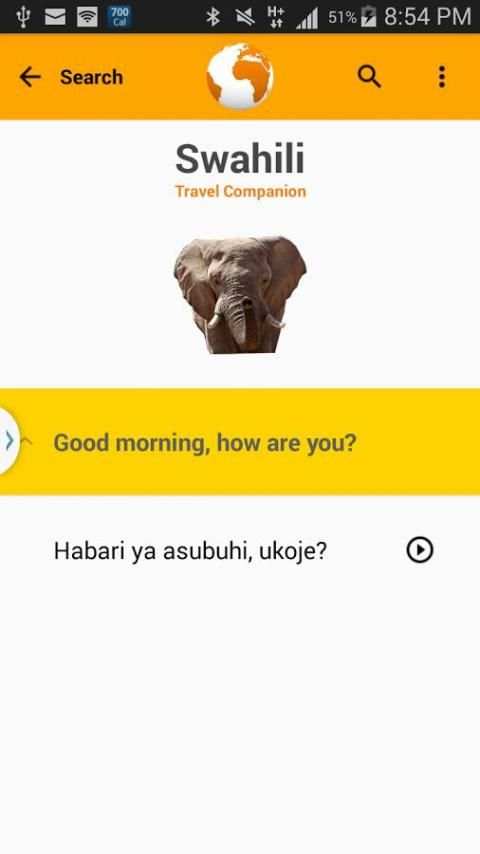 Swahili Travel Companion स्क्रीनशॉट 4
