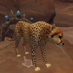 Guide for Cheetah Family Sim 1.0.0