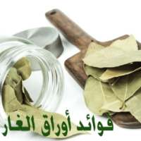 فوائد أوراق الغار