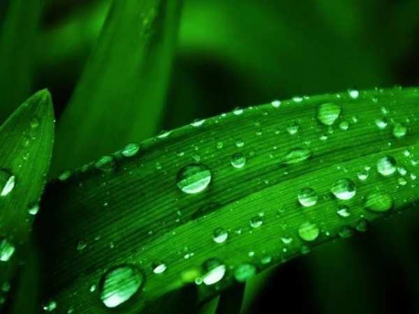 Download Full HD Wallpapers स्क्रीनशॉट 2