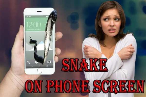 Snake On Phone Screen Prank screenshot 7