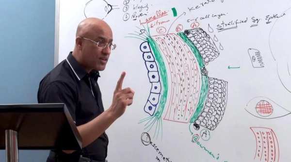 Dr. Najeeb Lectures स्क्रीनशॉट 6