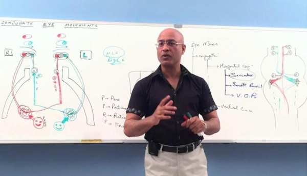 Dr. Najeeb Lectures स्क्रीनशॉट 4