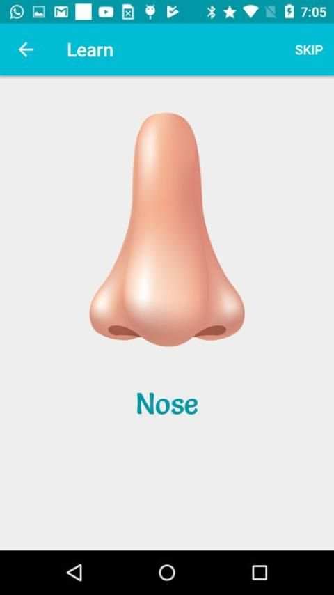 Body Parts-Learn, Spell, Quiz, Draw, Color & Games screenshot 5
