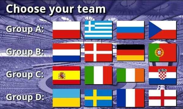 EURO 2012 Football/Soccer Game screenshot 7