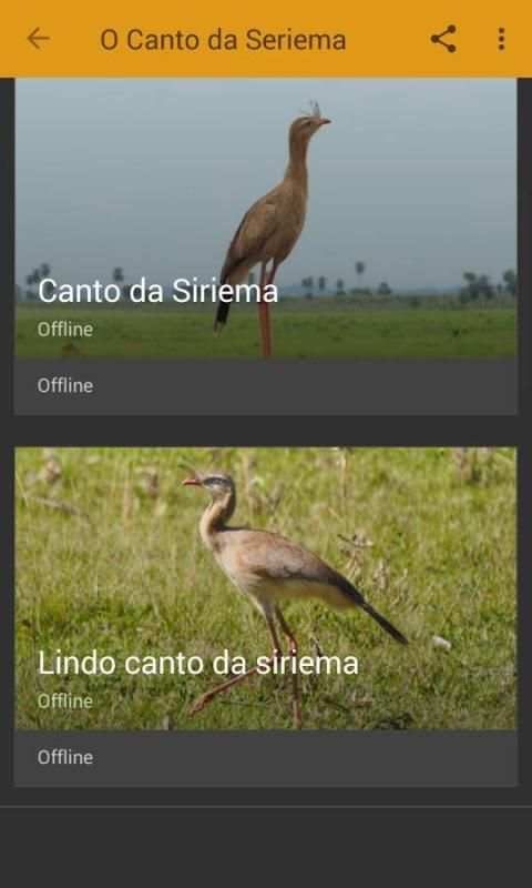 Seriema ave com canto mais lindo screenshot 5