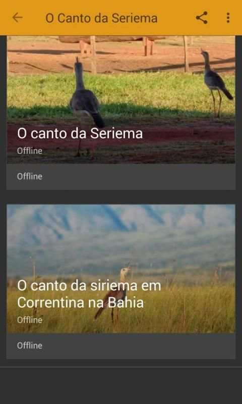 Seriema ave com canto mais lindo screenshot 4