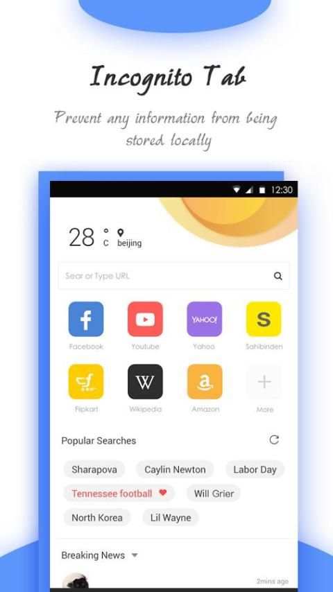 Goldeness Browser - Small, fast, private, easy use screenshot 5
