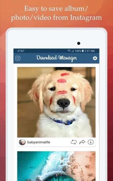 IDM Download Manager for Instagram screenshot 7