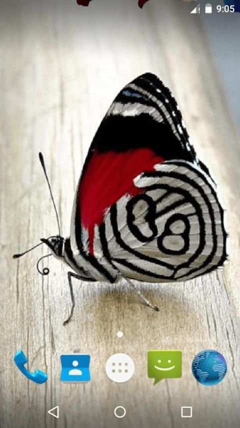 Magic Touch - Butterfly LWP screenshot 5