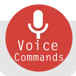 ikon Command Of OK Google