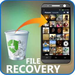 Recover Deleted Photos & Files - Free Disk Digger