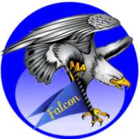 Falcon Browser Super Fast & High Speed Browser !