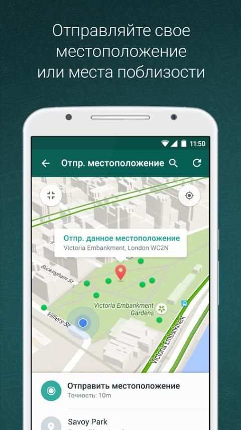 Ватсап screenshot 3
