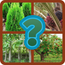 TEBAK GAMBAR POHON icon