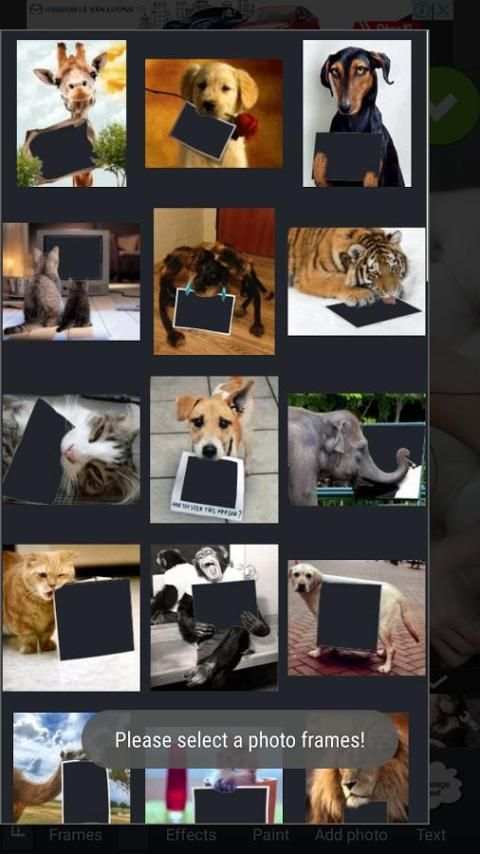 Animal Photo Frames screenshot 6