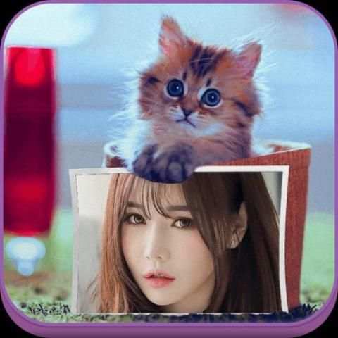 Animal Photo Frames screenshot 7