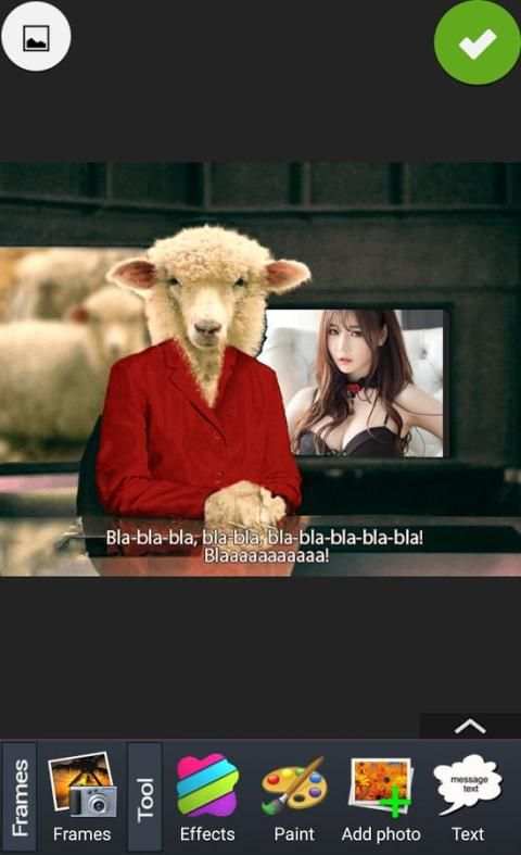 Animal Photo Frames screenshot 4