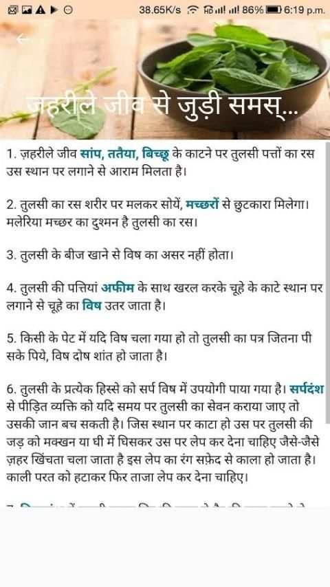 Tulsi ke Fayde : तुलसी के फायदे скриншот 2