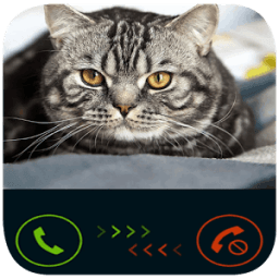 fake call from cat иконка