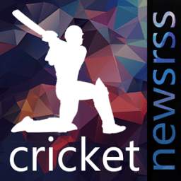 Real Time Cricket 1.1