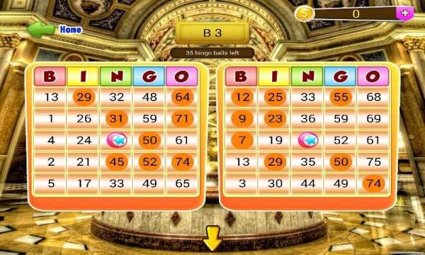 Star Bingo Game screenshot 2