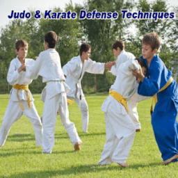 Judo &amp; Karate Self-Defense Techniques icon