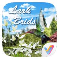 Lark Birds 3D V Launcher Theme