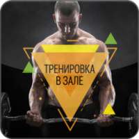 Тренировка в Зале on 9Apps