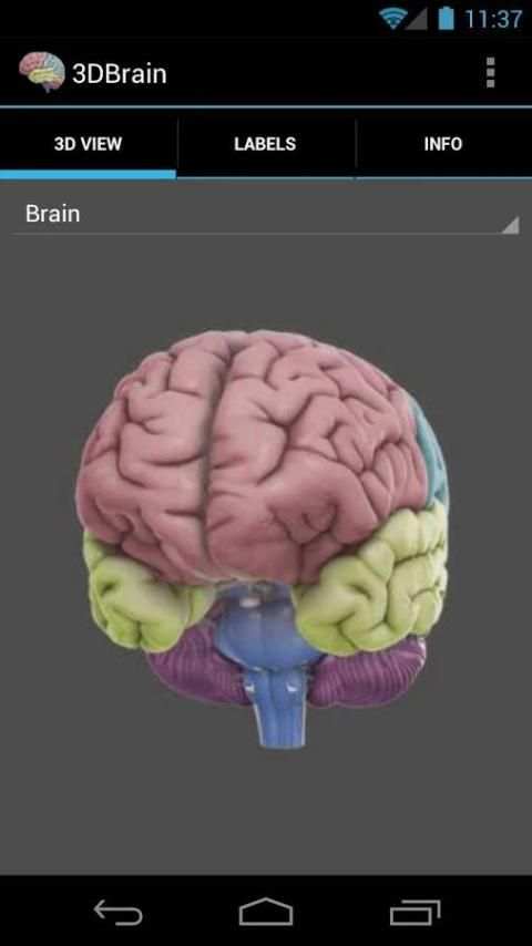 3D Brain 3 تصوير الشاشة