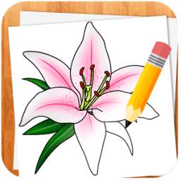 How to Draw Flowers