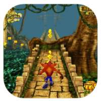 Temple Bandicoot Run Crash