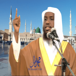 OFFICIAL Sheikh Umal icon