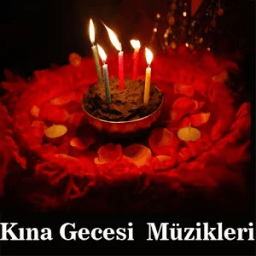 Kına Gecesi Müzikleri icon