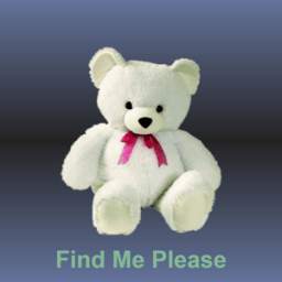 Missing Teddy