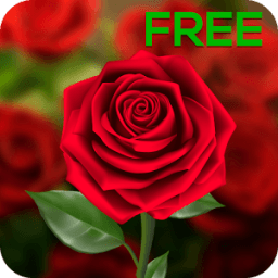 ikon 3D Rose Live Wallpaper