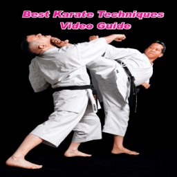 ikon Best Karate Techniques Video Guide