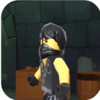 Tips LEGO Ninjago Shadow