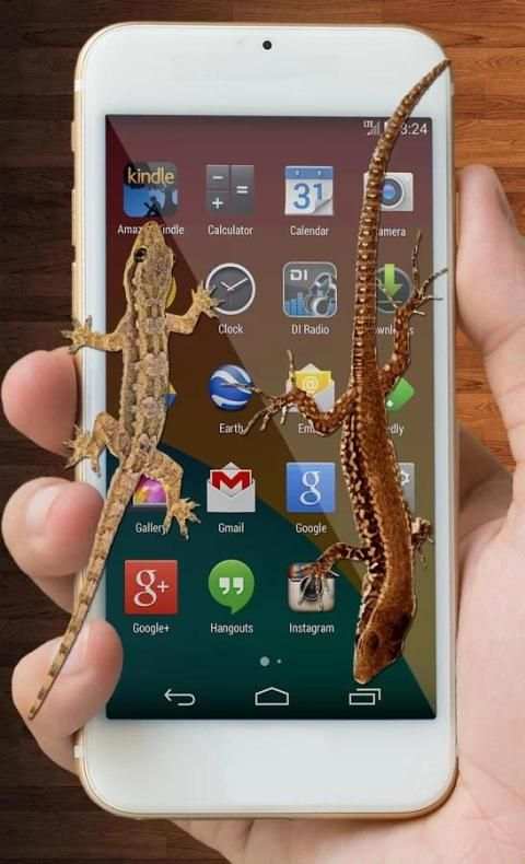 Lizard On Screen скриншот 2