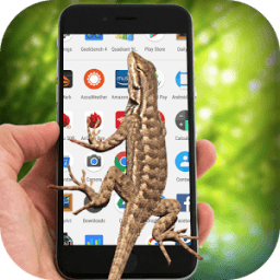 Lizard On Screen أيقونة