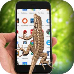 Lizard On Screen 1.0