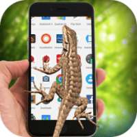 Lizard On Screen on 9Apps