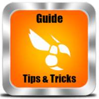 Guide Hornet Gay Social Network