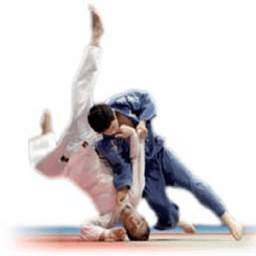 Judo Techniques Vidoes 1.0