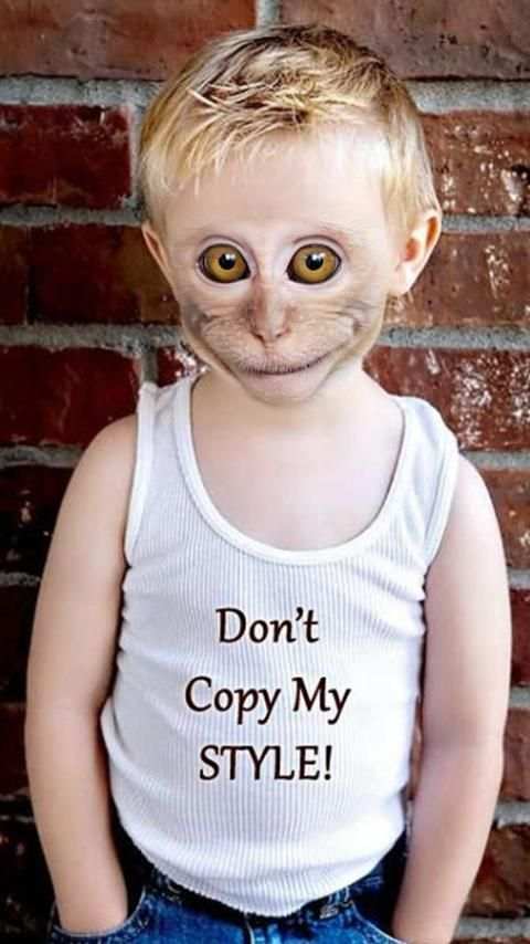 Snap Monkey Photo Editor скриншот 1