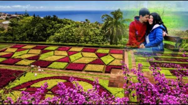 Garden Photo Frame Multi screenshot 2