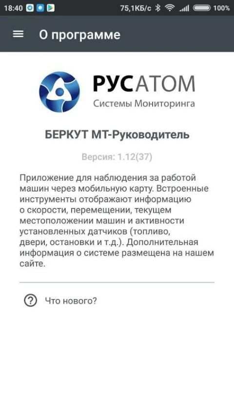 БЕРКУТ МТ-Руководитель screenshot 1