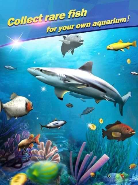 Fishing - Catch hungry shark screenshot 6