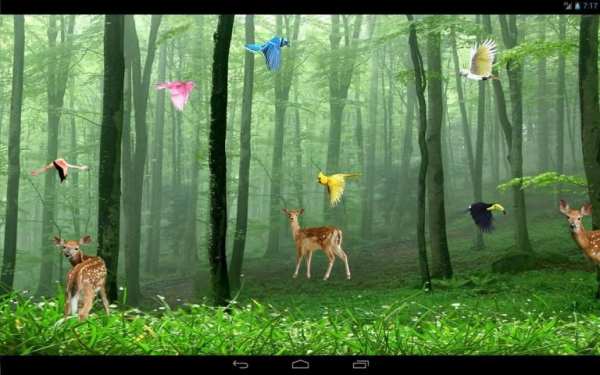 Rain Forest Live Wallpaper 4 تصوير الشاشة