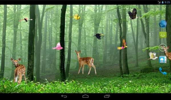 Rain Forest Live Wallpaper 1 تصوير الشاشة